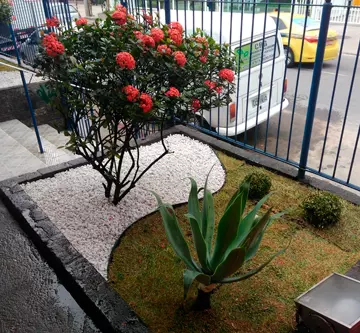 Serviço de Paisagismo e Jardinagem